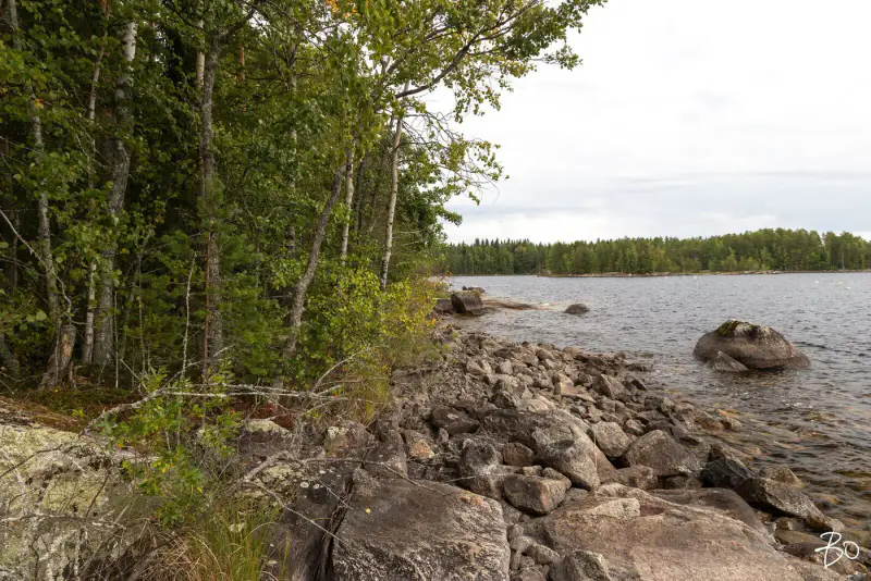 Terrain loisirs ~1,2 ha, ~170 m rive Päijänne (Judinsalonselkä) — Pyhänpää / Kuhmoinen — 13