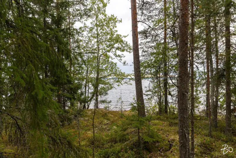Terrain loisirs ~1,2 ha, ~170 m rive Päijänne (Judinsalonselkä) — Pyhänpää / Kuhmoinen — 11