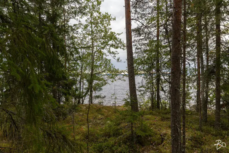 Terrain loisirs ~2 ha, ~160 m rive Päijänne (Judinsalonselkä) — Pyhänpää / Kuhmoinen — 8
