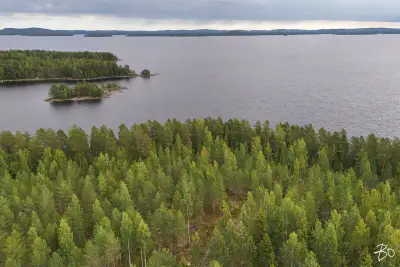 Terrain loisirs ~2 ha, ~160 m rive Päijänne (Judinsalonselkä) — Pyhänpää / Kuhmoinen — 1