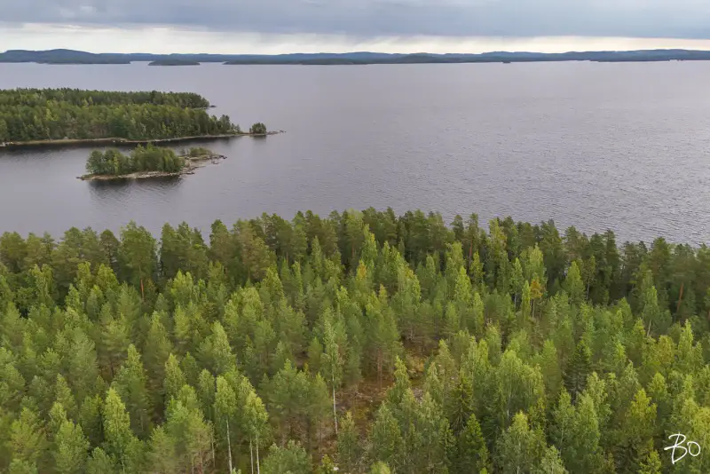 Terrain loisirs ~2 ha, ~160 m rive Päijänne (Judinsalonselkä) — Pyhänpää / Kuhmoinen — 1