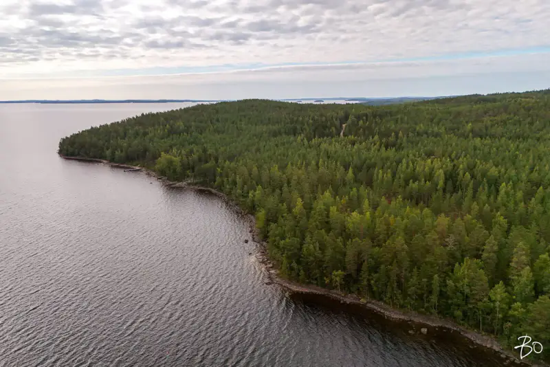 Terrain loisirs ~2 ha, ~160 m rive Päijänne (Judinsalonselkä) — Pyhänpää / Kuhmoinen — 17