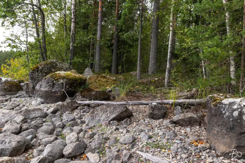 Terrain loisirs ~2 ha, ~160 m rive Päijänne (Judinsalonselkä) — Pyhänpää / Kuhmoinen — 16