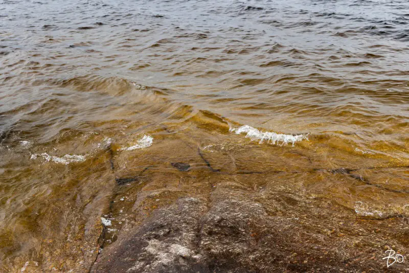 Terrain loisirs ~2 ha, ~160 m rive Päijänne (Judinsalonselkä) — Pyhänpää / Kuhmoinen — 15
