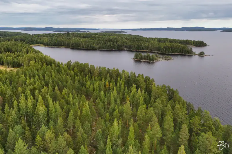 Terrain loisirs ~2 ha, ~160 m rive Päijänne (Judinsalonselkä) — Pyhänpää / Kuhmoinen — 2