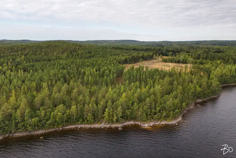 Terrain loisirs ~2 ha, ~160 m rive Päijänne (Judinsalonselkä) — Pyhänpää / Kuhmoinen — 5