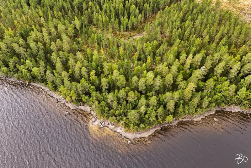 Terrain loisirs ~2 ha, ~160 m rive Päijänne (Judinsalonselkä) — Pyhänpää / Kuhmoinen — 18
