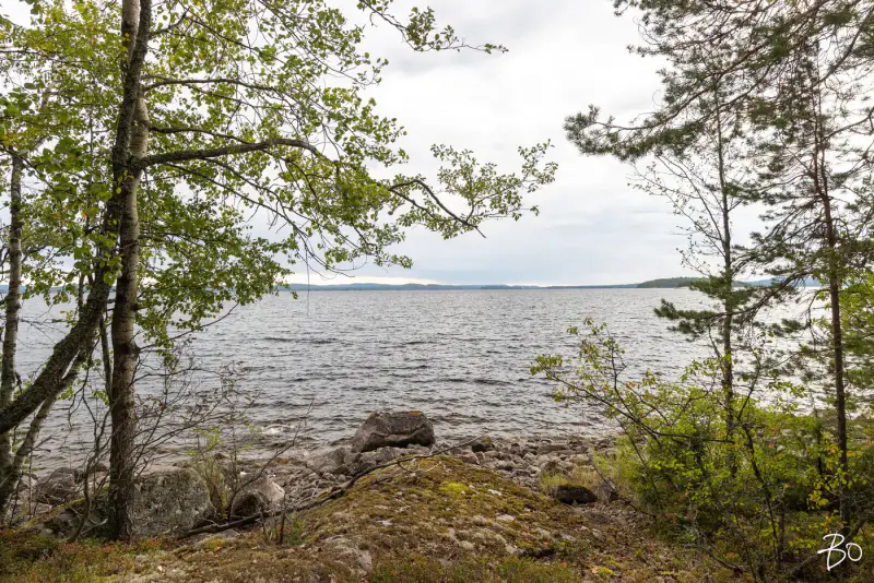 Terrain loisirs ~2 ha, ~160 m rive Päijänne (Judinsalonselkä) — Pyhänpää / Kuhmoinen — 11