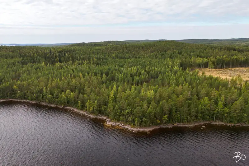 Terrain loisirs ~2 ha, ~160 m rive Päijänne (Judinsalonselkä) — Pyhänpää / Kuhmoinen — 6