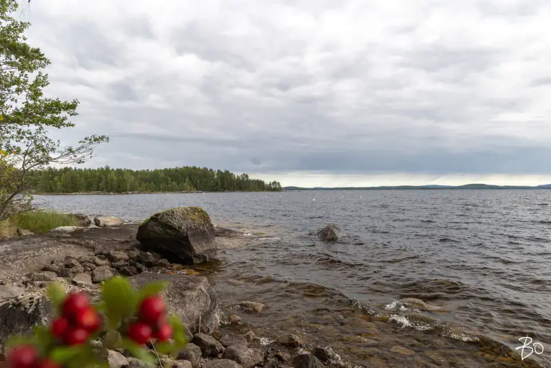 Terrain loisirs ~2 ha, ~160 m rive Päijänne (Judinsalonselkä) — Pyhänpää / Kuhmoinen — 7