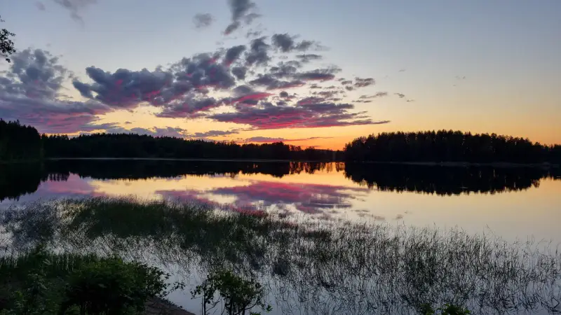 Mökki 1984 + sauna intégré et aitta, 2 370 m² rive privée Suvasvesi — Vehmersalmi / Kuopio — 12