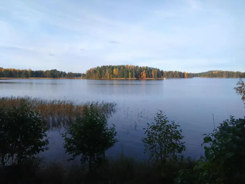 Mökki 1984 + sauna intégré et aitta, 2 370 m² rive privée Suvasvesi — Vehmersalmi / Kuopio — 14