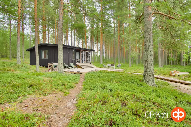 Deux parcelles île Hietasalo, mökki ~42 m², rive sable Suvasvesi — Kuopio — 13