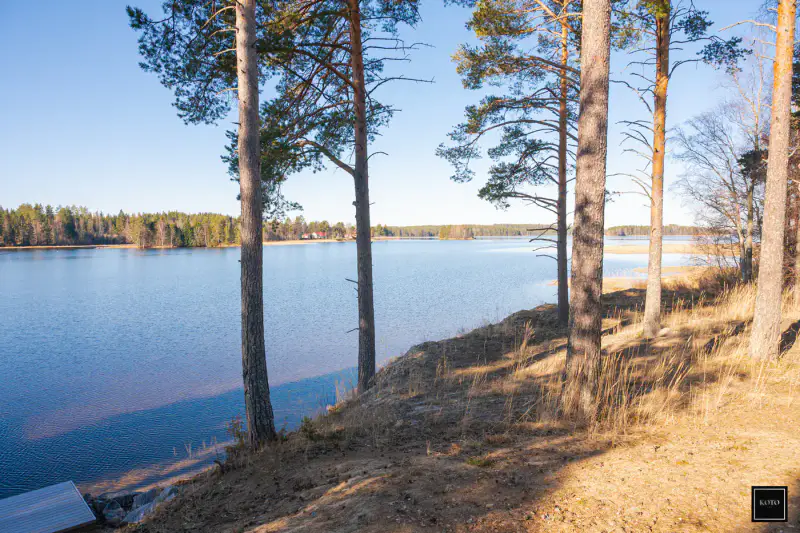 Terrain constructible ~9 440 m² + rantasauna 22 m² (2025), Kallavesi — Ritoniemi / Kuopio — 11