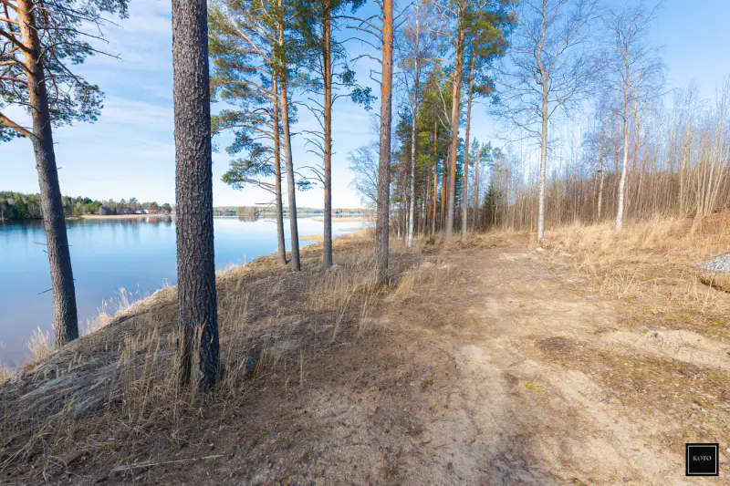 Terrain constructible ~9 440 m² + rantasauna 22 m² (2025), Kallavesi — Ritoniemi / Kuopio — 12