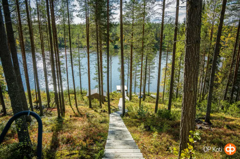 Mökki en rondins (1991) + sauna à bois et sauna-tupa, 2,31 ha et ~150 m de rive privée plein sud sur le Saapunki — Kuusamo — 7