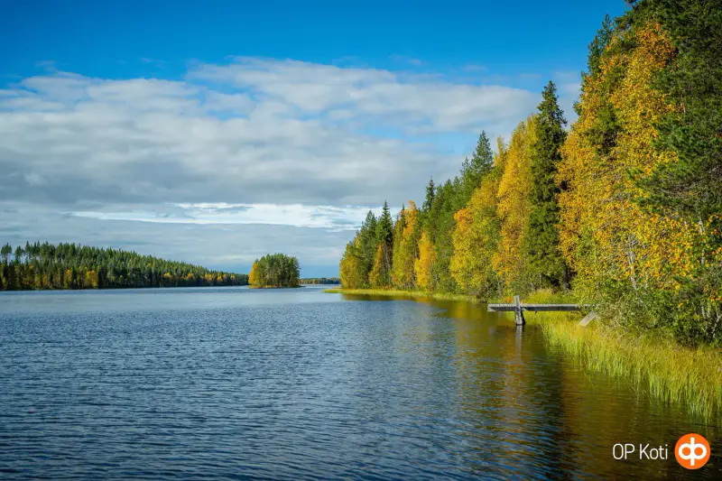 Mökki en rondins (1991) + sauna à bois et sauna-tupa, 2,31 ha et ~150 m de rive privée plein sud sur le Saapunki — Kuusamo — 2