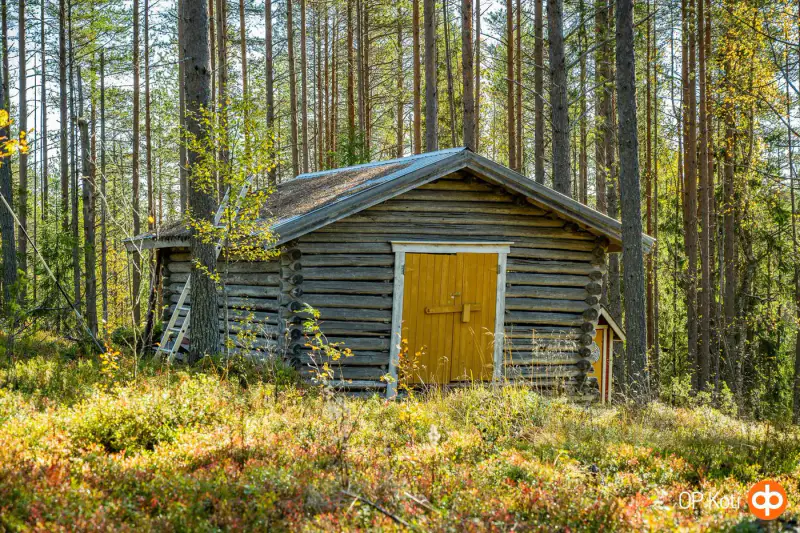 Mökki en rondins (1991) + sauna à bois et sauna-tupa, 2,31 ha et ~150 m de rive privée plein sud sur le Saapunki — Kuusamo — 13