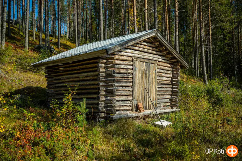 Mökki en rondins (1991) + sauna à bois et sauna-tupa, 2,31 ha et ~150 m de rive privée plein sud sur le Saapunki — Kuusamo — 6