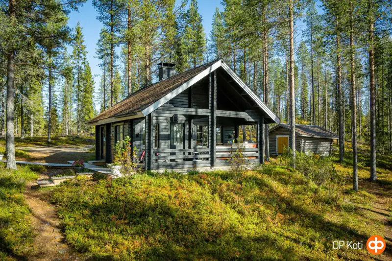 Mökki en rondins (1991) + sauna à bois et sauna-tupa, 2,31 ha et ~150 m de rive privée plein sud sur le Saapunki — Kuusamo — 5