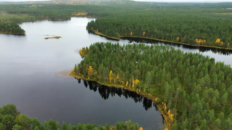 Mökki ~38 m² (1972) + rantasauna, 13,3 ha péninsule, Pikku-Muojärvi — Kuusamo — 8