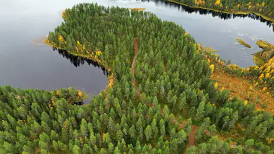 Mökki ~38 m² (1972) + rantasauna, 13,3 ha péninsule, Pikku-Muojärvi — Kuusamo — 1