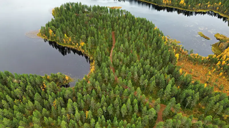Mökki ~38 m² (1972) + rantasauna, 13,3 ha péninsule, Pikku-Muojärvi — Kuusamo — 1