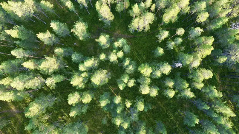 Terrain RM ~3,35 ha (~250 m rive), Ala-Juumajärvi — Juuma / Kuusamo — 12