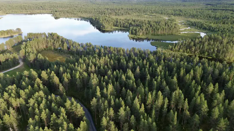 Terrain RM ~3,35 ha (~250 m rive), Ala-Juumajärvi — Juuma / Kuusamo — 14