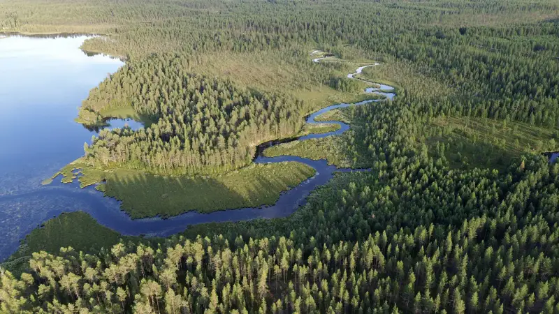 Terrain RM ~3,35 ha (~250 m rive), Ala-Juumajärvi — Juuma / Kuusamo — 11
