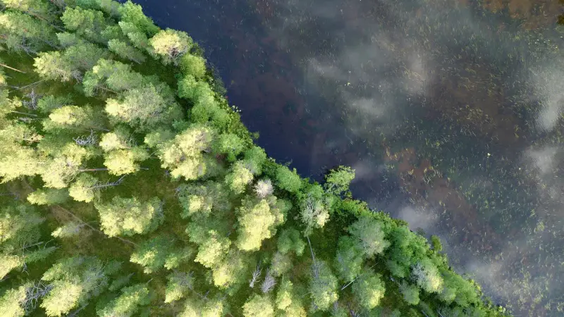Terrain RM ~3,35 ha (~250 m rive), Ala-Juumajärvi — Juuma / Kuusamo — 13