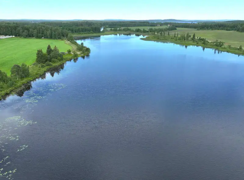 Hirsimökki 1970, ~40 m² + sauna + aitta, ~500 m rive privée Ala-Naarvanjärvi, 1,39 ha — Tölvä (Lapinlahti) — 10