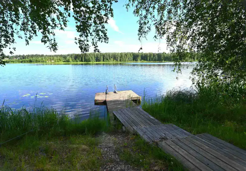 Hirsimökki 1970, ~40 m² + sauna + aitta, ~500 m rive privée Ala-Naarvanjärvi, 1,39 ha — Tölvä (Lapinlahti) — 15