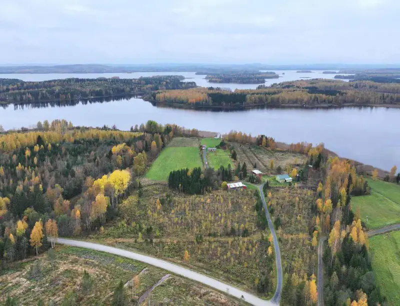 Maison ~72 m² (1976, rénovée 2013–16) + sauna, 5,9 ha et 275 m de rive sur l’Onkivesi — Karvasalmi / Lapinlahti — 2