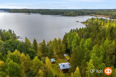 Mökki ~40 m² (1981) + aitta, 12 860 m², Saimaa — Kuukanniemi / Lemi — 1