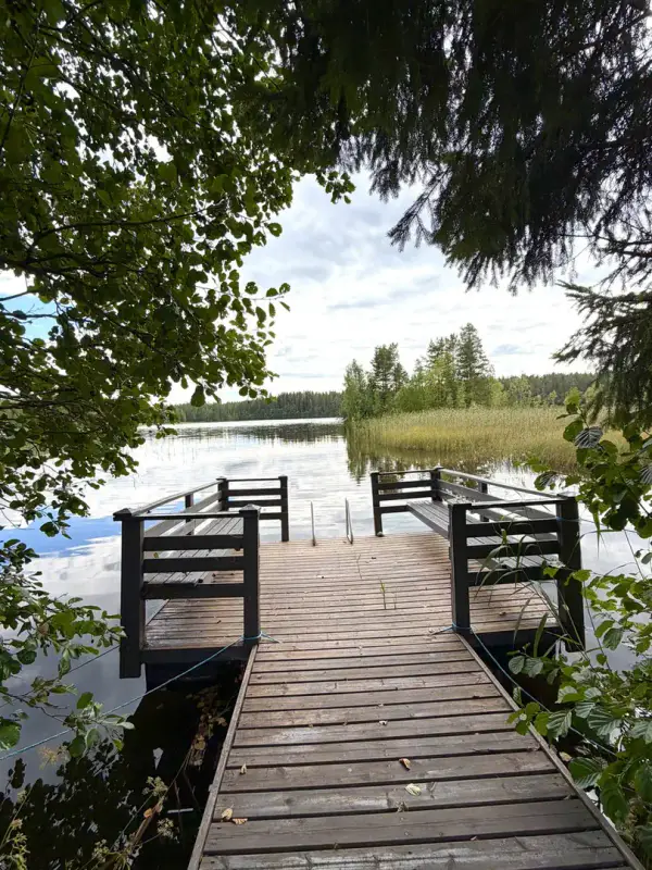 Mökki ~33 m² + rantasauna 2010, rive sud Häyryjärvi, 3 650 m² — Sorsakoski — 14