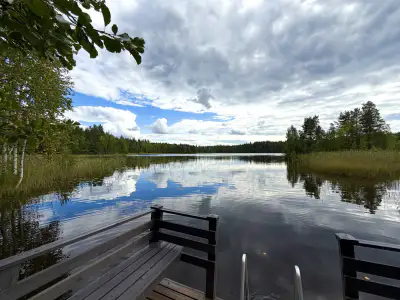Mökki ~33 m² + rantasauna 2010, rive sud Häyryjärvi, 3 650 m² — Sorsakoski — 1