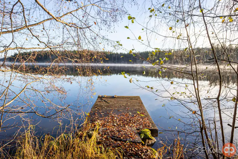 Maison 1991 de 205 m² à la géothermie, 8 668 m² avec rive privée sur l’Unnukka — Leppävirta — 6