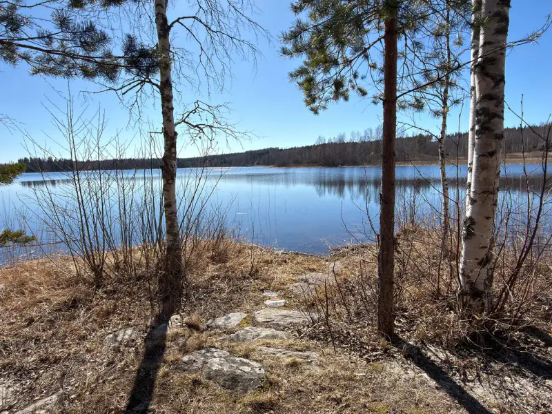 Ferme ancienne (XIXe siècle, 250 m²) sur 13,7 ha avec ~600 m de rive privée sur l’Osmajärvi — Sorsakoski, Leppävirta — 7