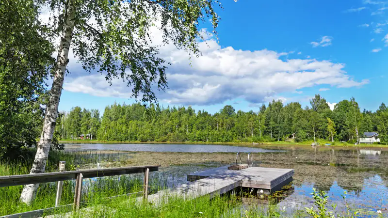 Maison de loisirs 135 m² (2018) + ancien mökki en rondins de 1909 rénové, 1,8 ha et ~100 m de rive sur l’étang Kolinlampi — Koli / Lieksa — 4