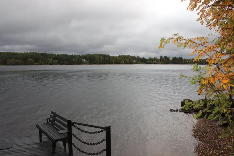 Mökki ~25 m² (1975) + sauna extérieure, 2 626 m², rive lacustre — Lieksa — 15