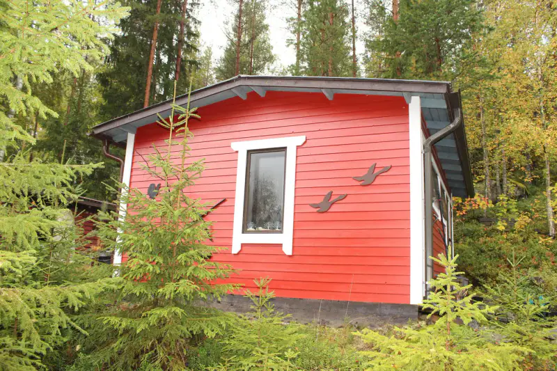 Mökki ~25 m² (1975) + sauna extérieure, 2 626 m², rive lacustre — Lieksa — 3