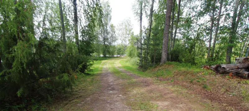 Chalet en rondins ~27 m² (1999) + sauna et bain nordique, 4,95 ha entre Lieksanjoki et lampi — Maurunniemi / Lieksa — 15