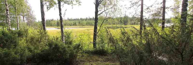Chalet en rondins ~27 m² (1999) + sauna et bain nordique, 4,95 ha entre Lieksanjoki et lampi — Maurunniemi / Lieksa — 18