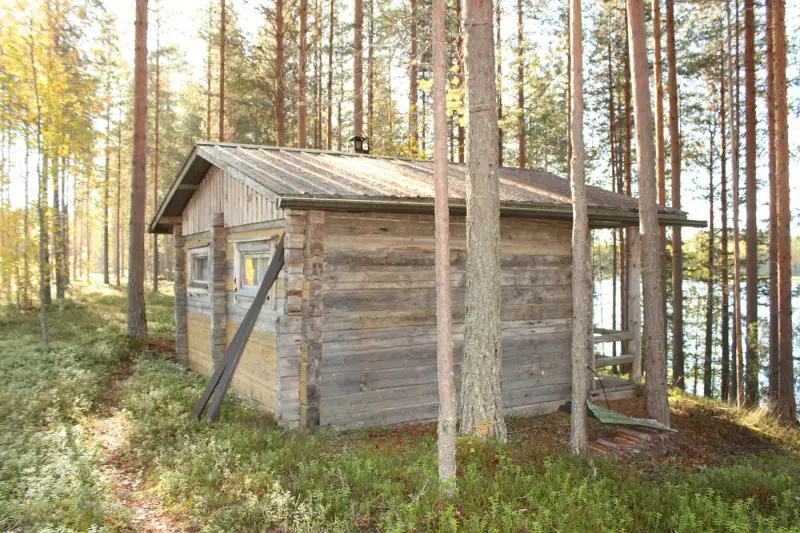 Mökki bois 74 m² (1987) + sauna, terrain ~3 133 m², Jongunjoki — Patasärkkä / Lieksa — 18