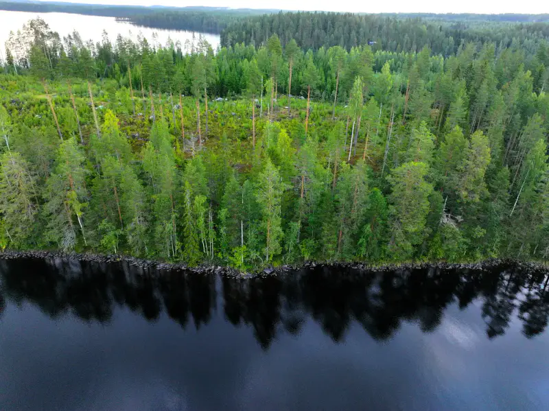 Terrain rive Suurijärvi ~9 377 m² — Liperi — 6