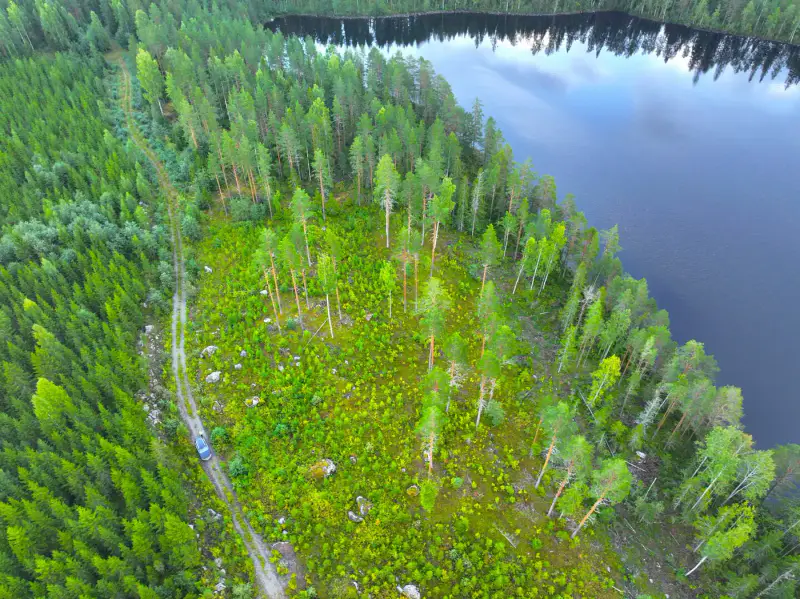 Terrain rive Suurijärvi ~9 377 m² — Liperi — 10