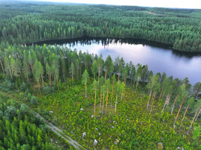 Terrain rive Suurijärvi ~9 377 m² — Liperi — 2