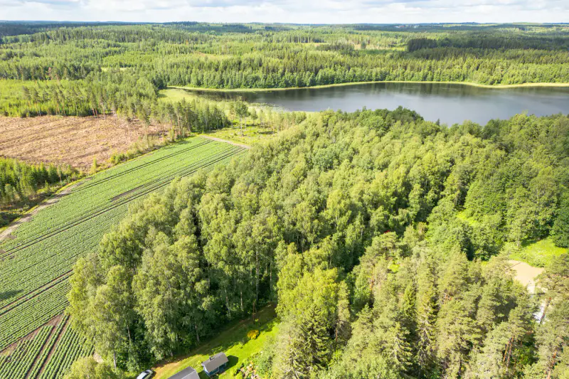 Terrain de rive, plan de rive, lac Sakara — Teväntö, Loppi — 4
