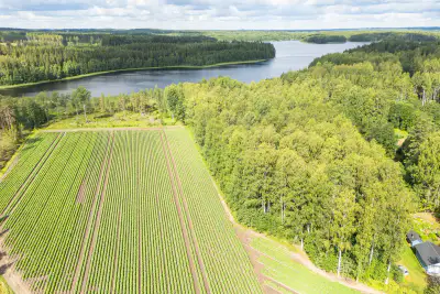 Terrain de rive, plan de rive, lac Sakara — Teväntö, Loppi — 1